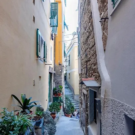Joivy Antica Roccia * Vernazza